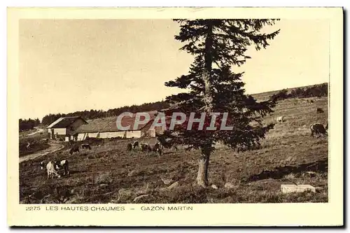 Cartes postales Les Hautes Chaumes Gazon Martin