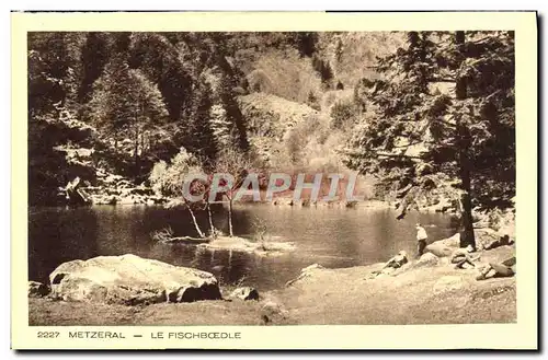 Cartes postales Metzeral Le Fischboedle