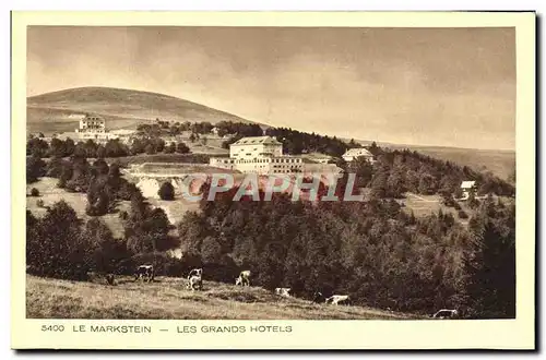 Cartes postales Le Markstein Les Grands Hotels