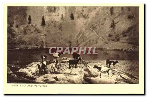 Cartes postales Lac Des Perches Chevre Chevres
