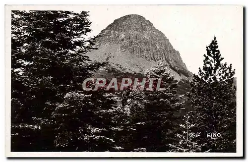 Ansichtskarte AK Le Mont Gerbier Des Joncs Vue Prise Du Bois Negre