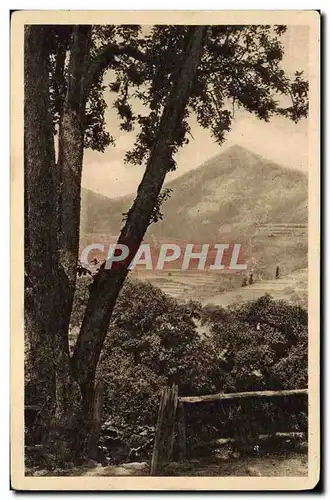 Ansichtskarte AK La Region Des Cevennes La Vallee De Besse Et Le Suc De Sara