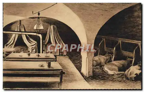 Cartes postales Dauphine Type D'Habitation Du Haut Queyras Vaches