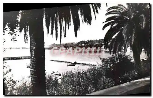 Cartes postales moderne Beaulieu Sur Mer Vue sur la mer et le Cap Ferrat