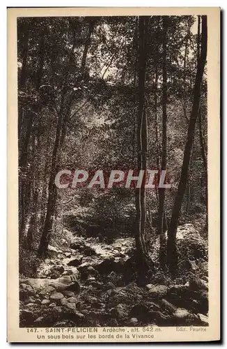 Cartes postales Saint Felicien Un sous bois sur les bords de la Vivance