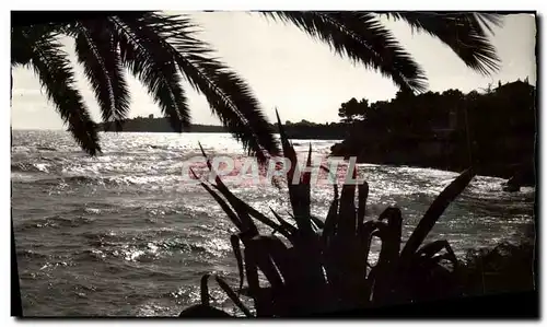 Cartes postales moderne Beaulieu Sur Mer Coucher de soleil sur le Cap Ferrat et la promenade Maurice Rouvier