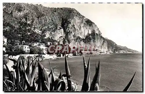 Cartes postales Beaulieu Sur Mer La Petite Afrique Au Fond Le Cap d&#39Ail