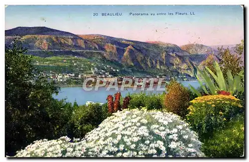 Cartes postales Beaulieu Panorama Vu Entre Les Fleurs