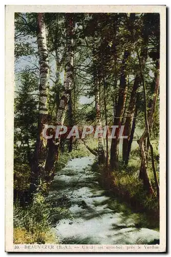 Cartes postales Beauvezer Un des sous bois Pres le Verdon