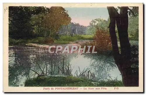Cartes postales Foret de Fontainebleau La Mare Aux Fees
