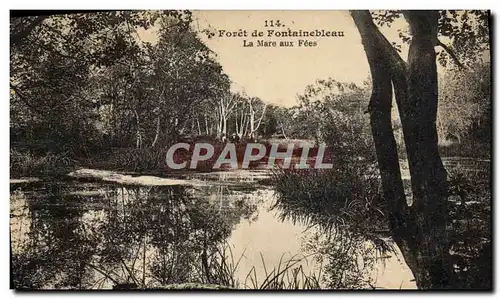 Cartes postales Foret de Fontainebleau La mare aux fees