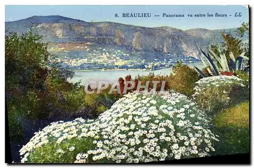 Cartes postales Beaulieu Panorama Vu entre les Fleurs