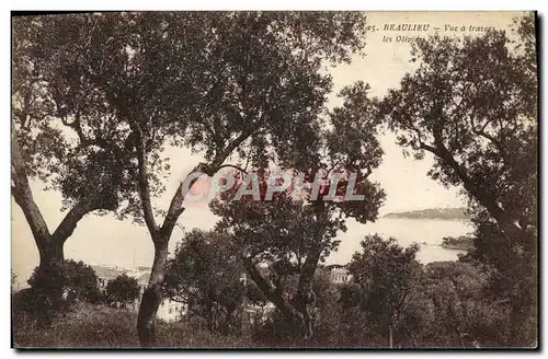 Cartes postales Beaulieu Sur Mer Vue a travers les oliviers