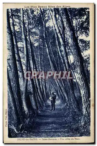 Cartes postales Digne Les Bains Saint Domnin Une Allee Du Parc