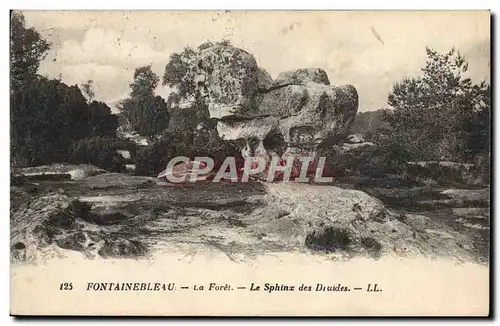 Ansichtskarte AK Palais De Fontainebleau La Foret Le Sphinx Des Druides