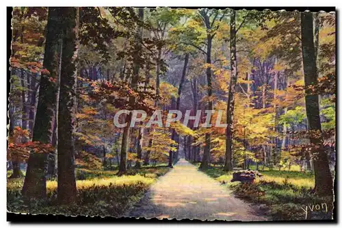 Cartes postales Fontainebleau La Foret La Route Ronde