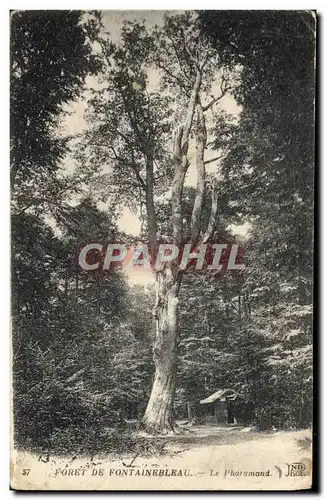 Cartes postales Fontainebleau Le Pharamond