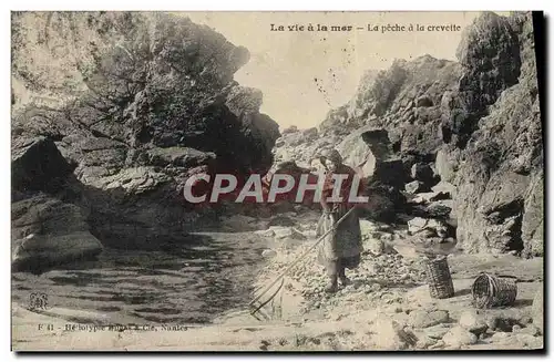 Cartes postales La vie a la mer La peche a la crevette