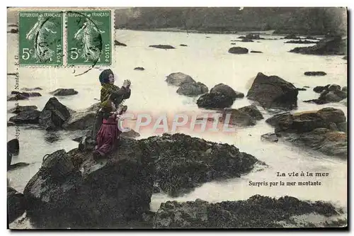 Cartes postales La vie a la mer Surpris par la mer montante