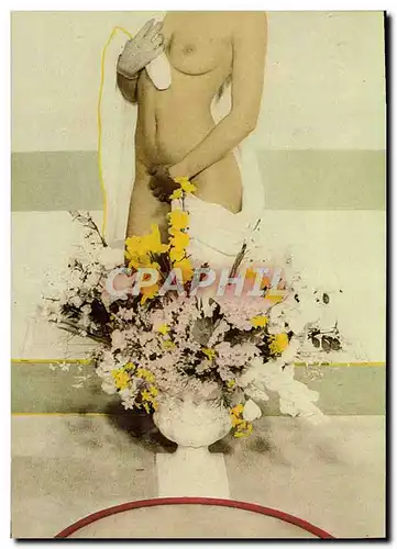 Cartes postales moderne Nu erotique Illustrateur Didier Gaillard