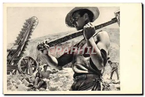 Cartes postales Judaica Israel Chalutzim Building Road