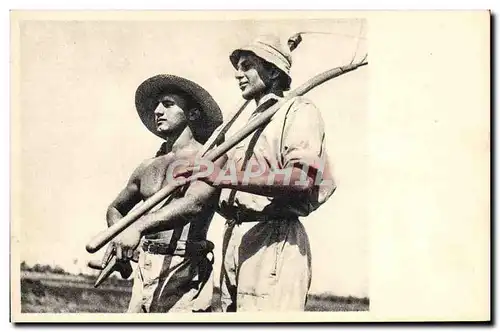 Cartes postales Judaica Israel Chalutzim after the day&#39s work