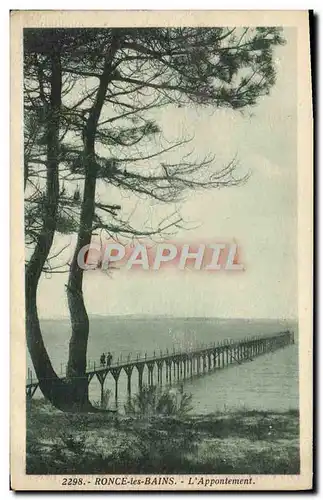 Cartes postales Ronce Les Bains L&#39Appontement