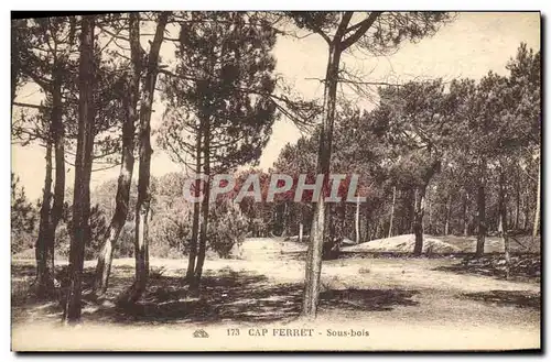 Cartes postales Cap Ferret Sous Bois