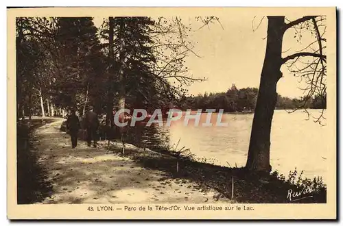 Cartes postales Lyon Parc De La Tete D&#39Or Vue artistique sur le lac