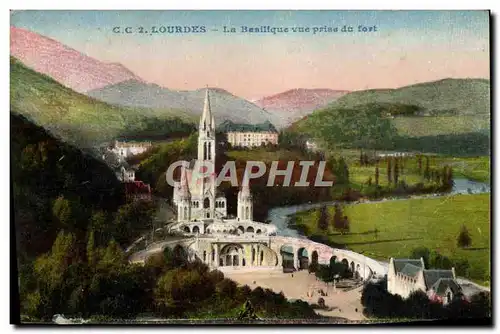 Cartes postales Lourdes La Basilique Vue Prise Du Fort