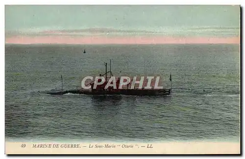 Cartes postales Bateau Sous marin Otarie