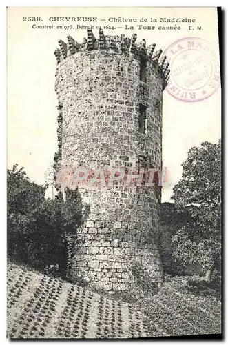 Cartes postales Chevreuse Chateau de la Madeleine la tour cassee