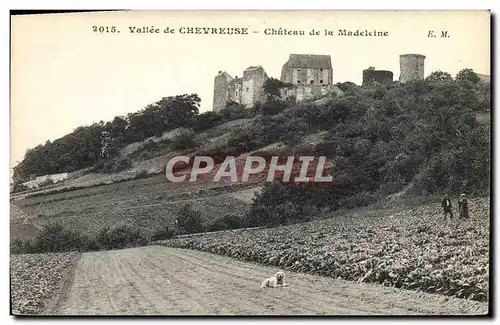 Cartes postales Vallee de Chevreuse Chateau de la Madeleine