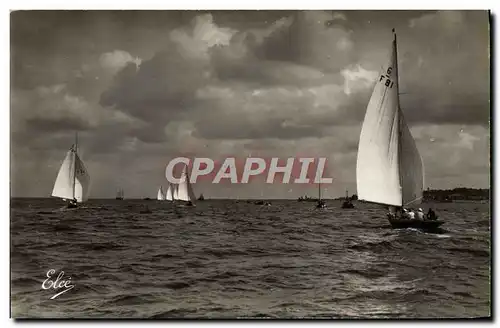 Cartes postales moderne Bateau Voilier Bassin d&#39Arcachon Regates sur le bassin