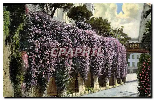 Ansichtskarte AK Menton Fleurs de Printemps