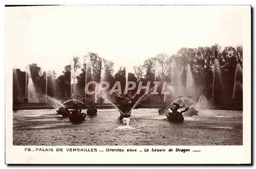 Cartes postales Palais De Versailles Grandes Eaux le bassin du dragon