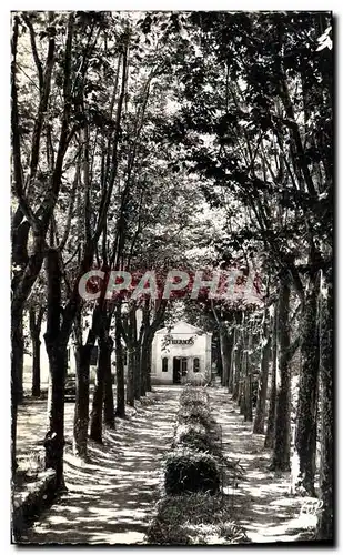 Cartes postales Greoux Les Bains L&#39allee des thermes