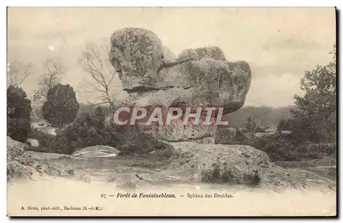 Ansichtskarte AK Foret De Fontainbleau Sphinx des druides