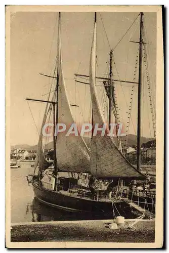 Ansichtskarte AK Bateau Voilier Sainte Maxime sur Mer Voiliers du port