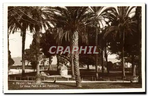 Cartes postales Nice Le Chateau Le Vieux Puits et Les Palmiers