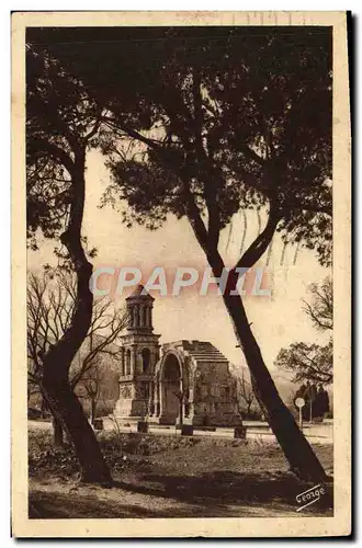 Cartes postales Saint Remy De Provence Les antiques Monuments romains Vus a travers les pins