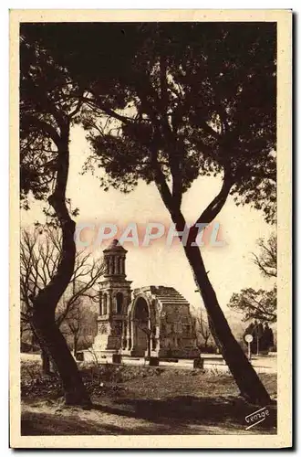 Cartes postales Saint Remy De Provence Les antiques Monuments romains Vus a travers les pins