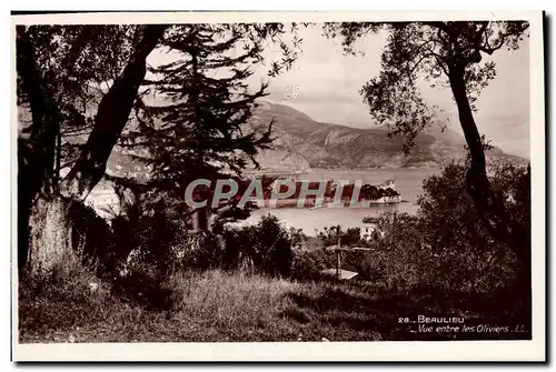 Cartes postales Beaulieu Vue entre les oliviers