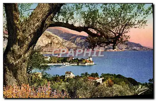 Cartes postales Beaulieu sur mer La pointe fourmie