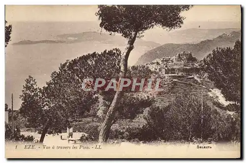 Cartes postales Eze Vue a Travers les Pins