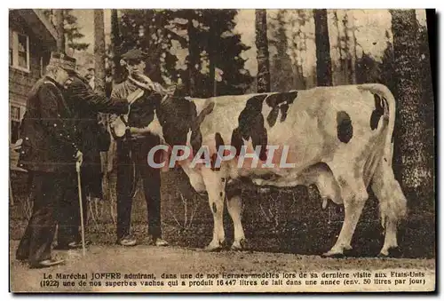 Cartes postales Folklore Le marechal Joffre admirant une vache