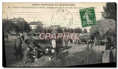 Cartes postales Armee Francaise en manoeuvres Parc de ravitaillement de betail Soldats occupes a la traite Vache