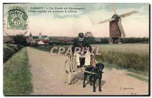 Cartes postales Chien Chiens Loiret la poste en Campagne Service rapide en voiture a chien Briare Moulin