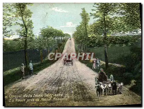 Cartes postales Circuit de la Seine Inferieure La route pres de Mesnil Reaume Chien Chiens Automobile