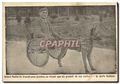 Cartes postales Chien Chiens Grand mutile du travail sans pesion ne vivant que du produit de ses cartes